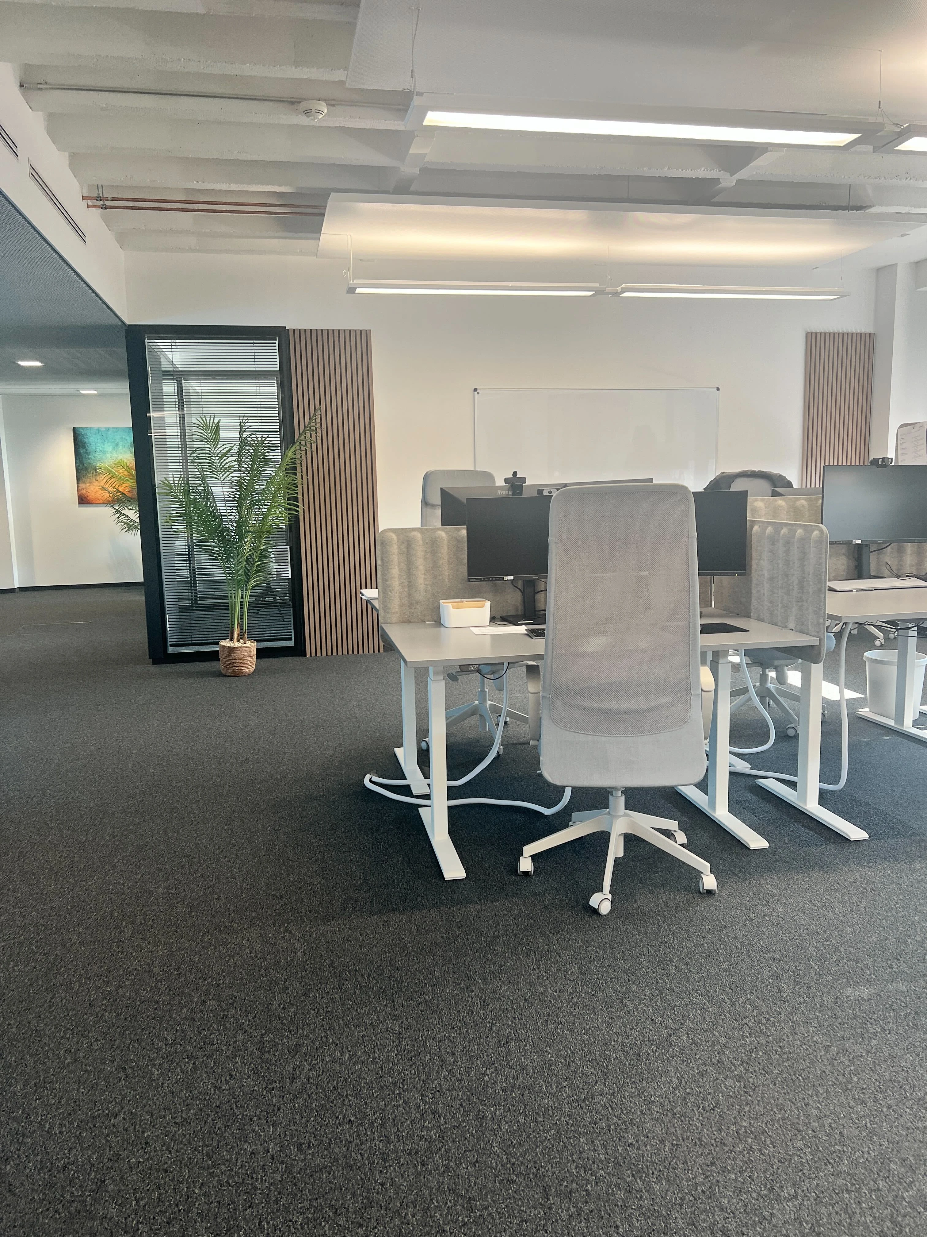Foto der offenen Bürofläche
