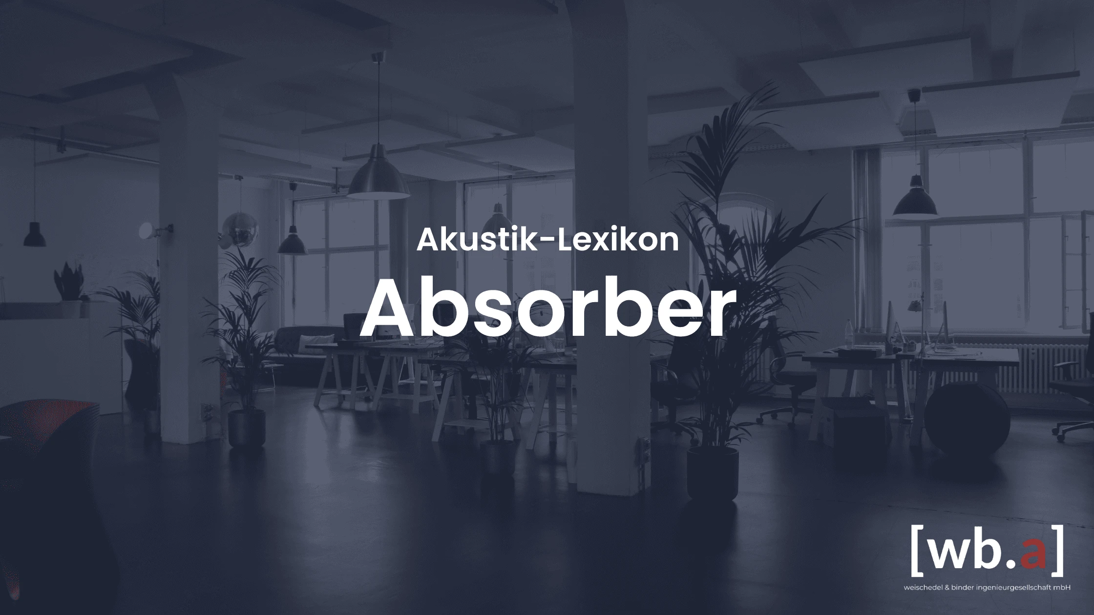 Absorber
